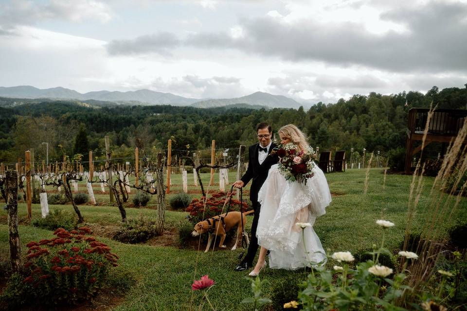 Longleaf Vineyard