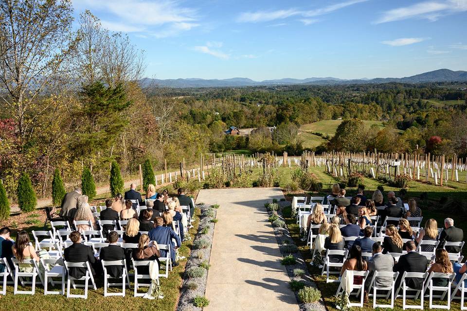 Vineyard Ceremony