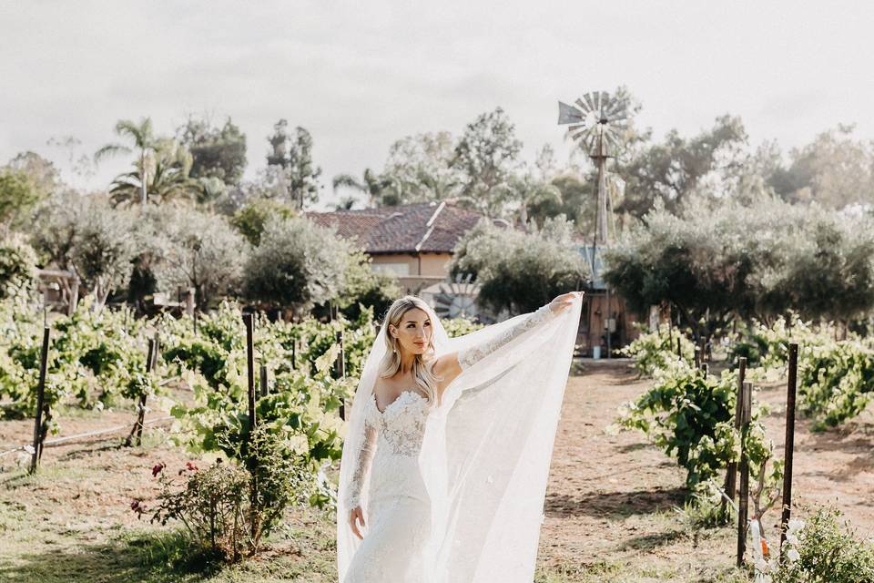 Gorgeous bride