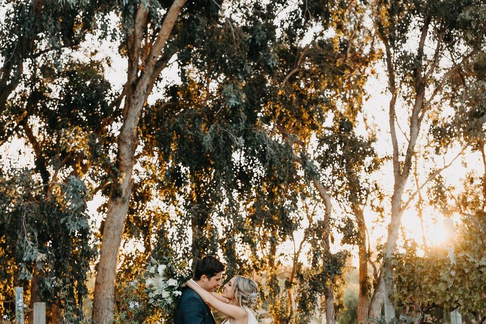 Temecula winery wedding