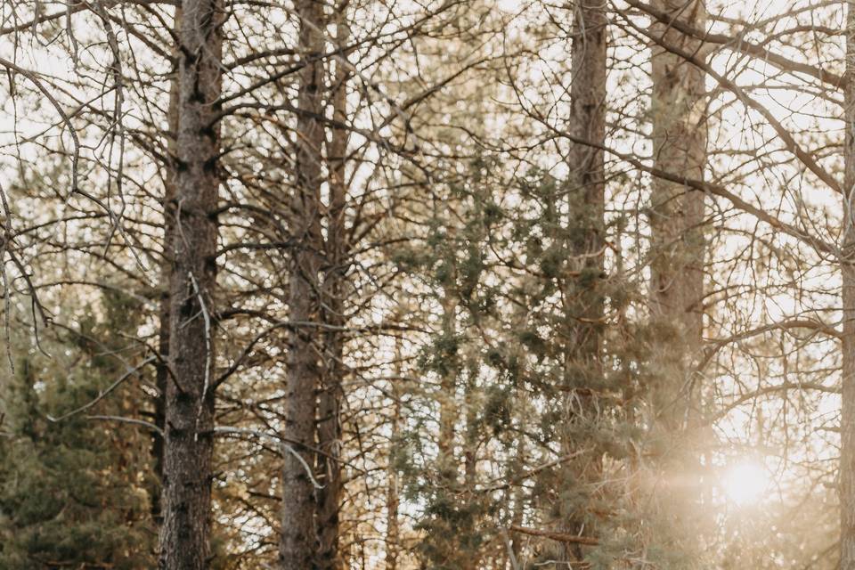 Big Bear engagement session