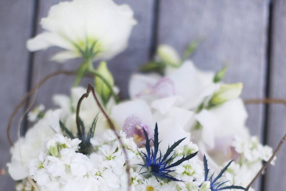 White little flowers