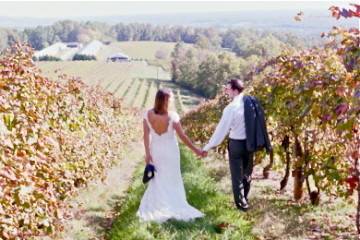 Honah Lee Vineyard - Venue - Gordonsville, VA - WeddingWire