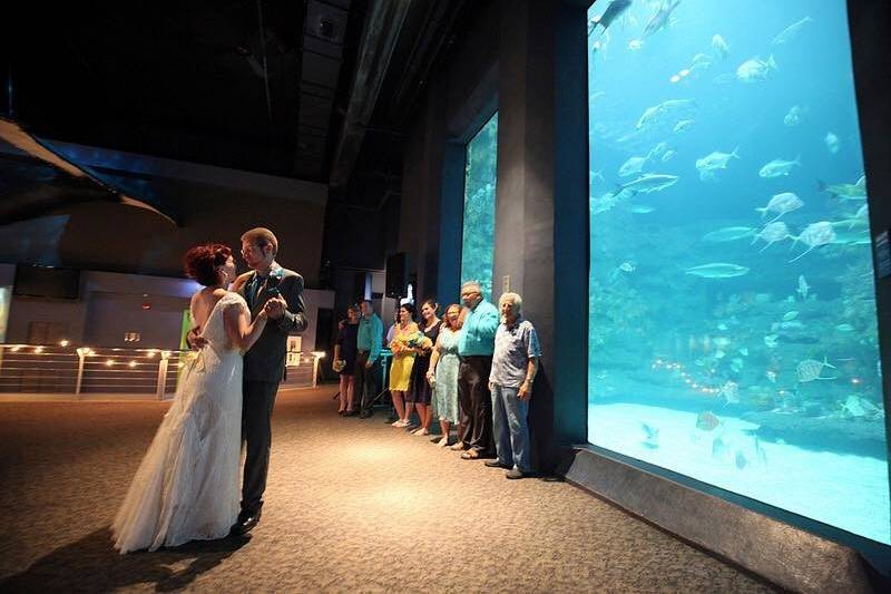 Aquarium Wedding