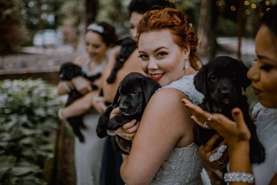 Wedding puppies