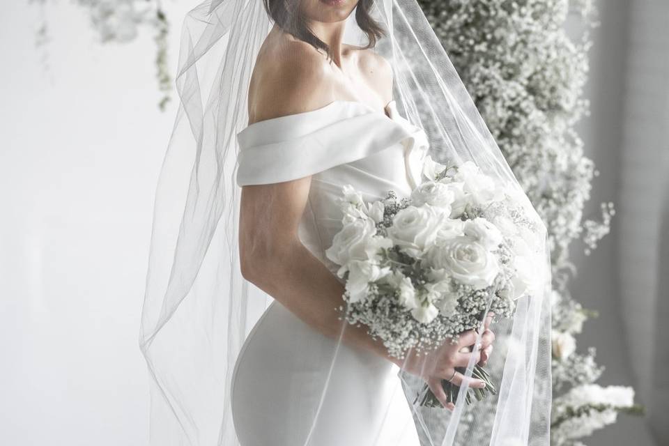 Bride with veil