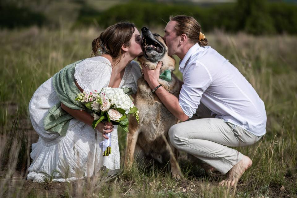 Newlyweds kissing a happy dog