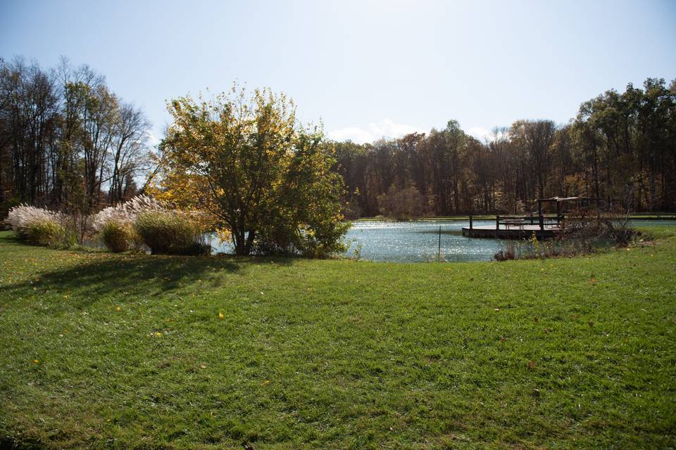 Fall at the farm