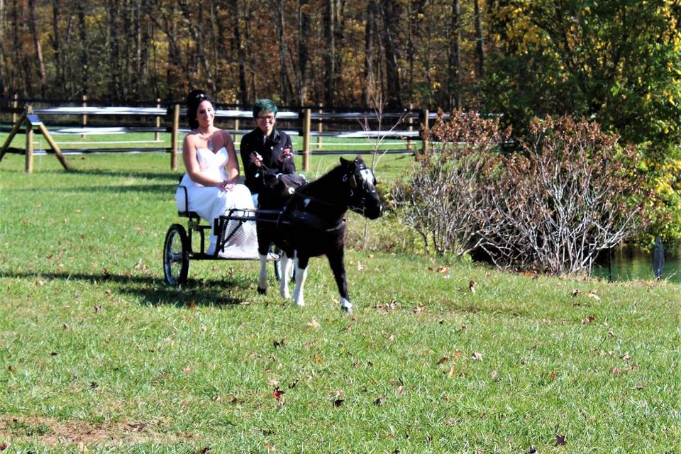 Bride arriving to ceremony