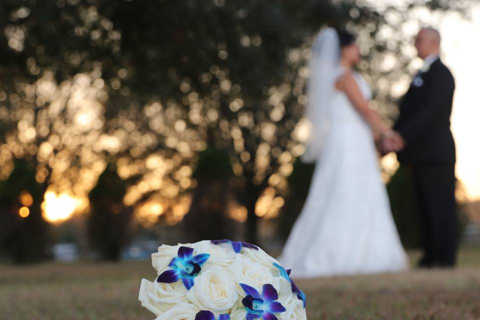 Garcia / Maldonado wedding 12-22-2017 Full Wedding Planning ServicesPhoto by: Colortime Photographylocation: Zephyrhills
