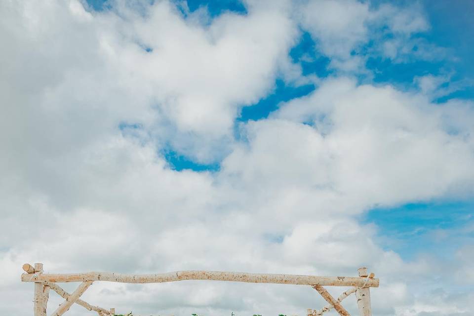 Bride under the birch chuppah