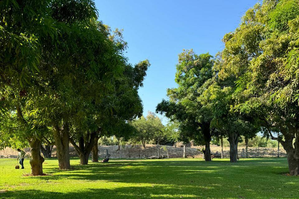 Cortijo de Carmen Aida venue