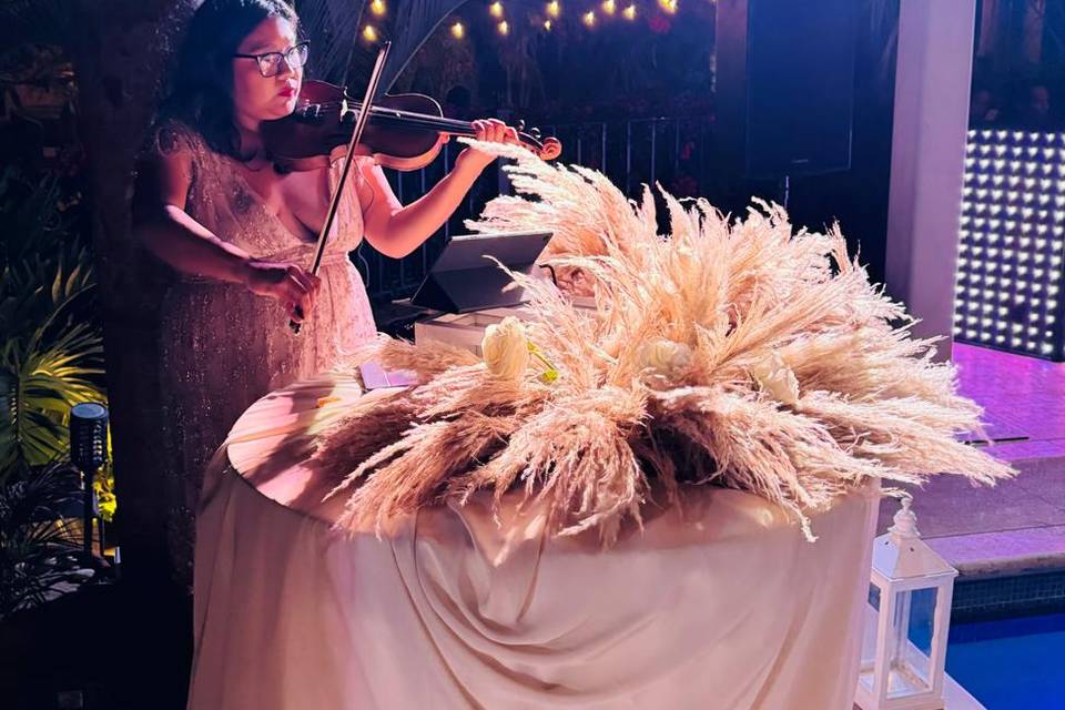 Violin