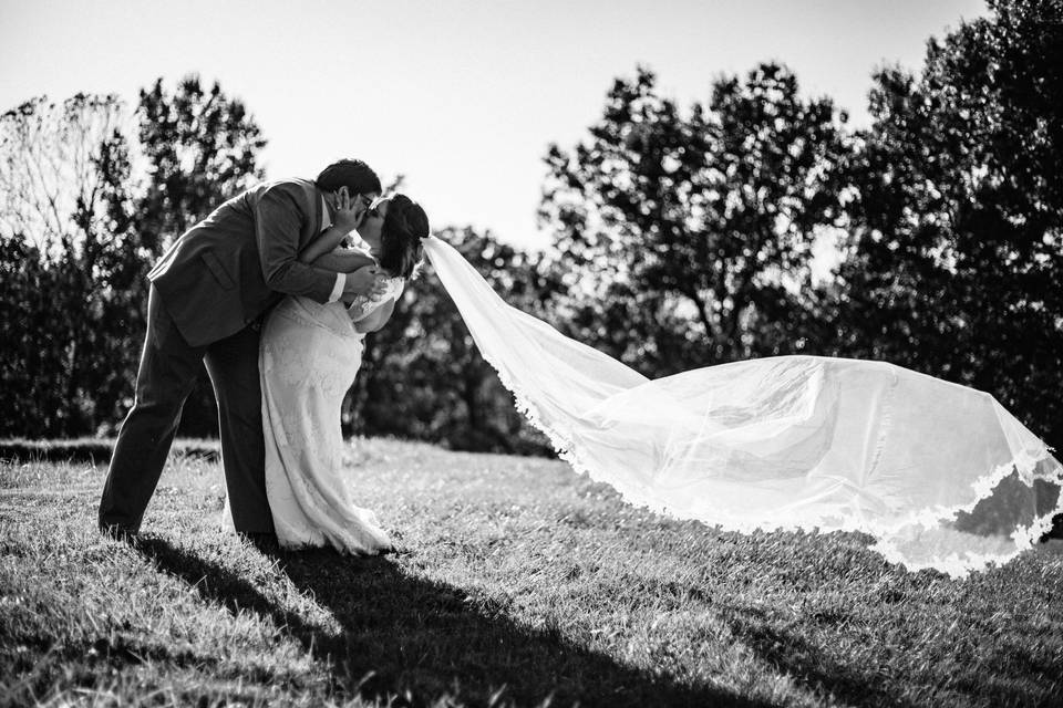 Kissing with windblown veil