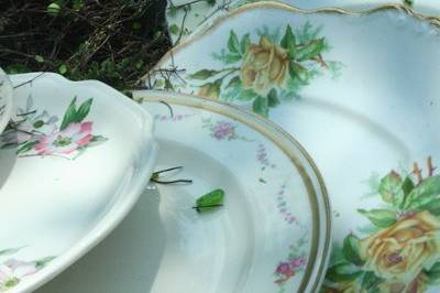 Revived Tableware